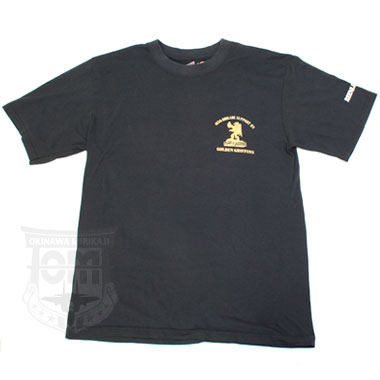 GOLDEN GRIFFINS 407th BSB T-SHIRTS 米軍放出品