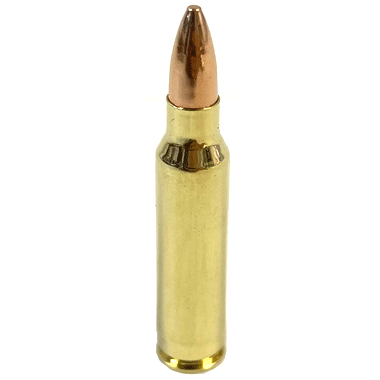 US 5.56mm × 45mm リアルダミーカート 弾丸 実物