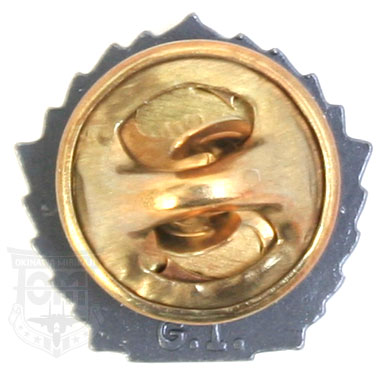 VICTORY MEDAL SILVER LAPEL BUTTON