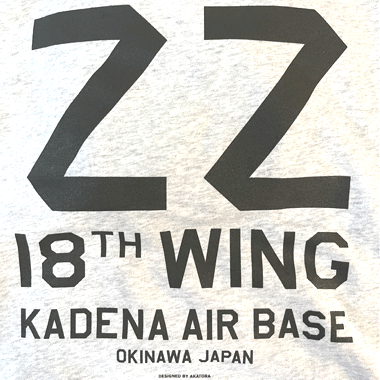 ZZ(テールコード) 米空軍・第18航空団/嘉手納基地 ミリタリーパーカ アッシュ