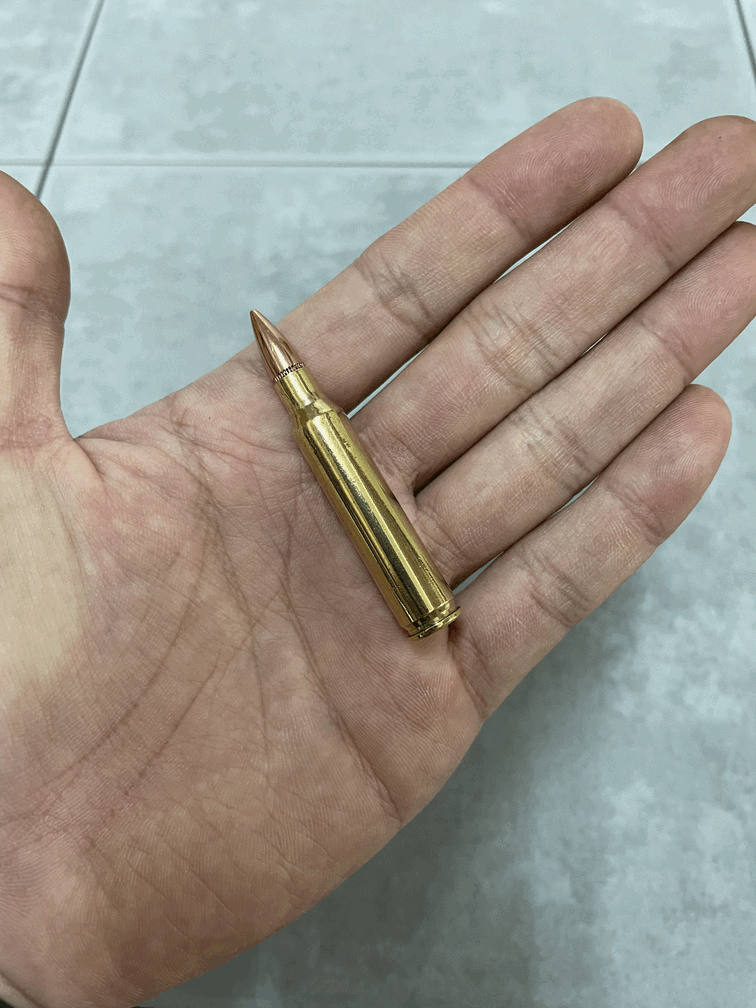 5.56×45mm ダミーカートセット 10発セット