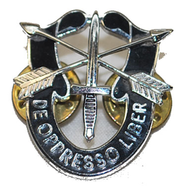 US SPECIAL FORCES UNIFORM INSIGNA　グリーンベレー