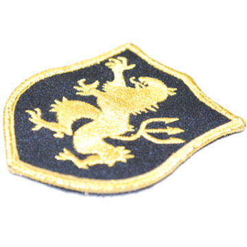 NAVY SEALS GOLD TEAM  DEVGRU PATCH GOLD