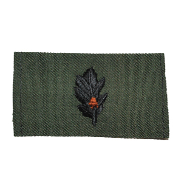 米軍放出品 軍用実物

NAVY EMBROIDERED BADGE
MEDICAL SVC

アメリカ海軍、サブリュードタイプ
の刺繍パッチです。

ODカラーの生地に刺繍が施されれて
おります。

お手持ちのバッグや衣類に装着してみては
いかがでしょうか？